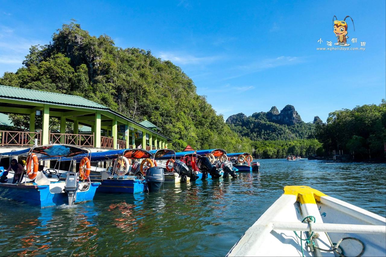 Jelajahi Hutan Mangrove Langkawi: Tur Unik ke Ekosistem Pesisir