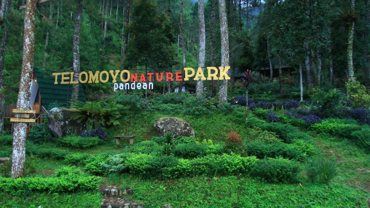 Telomoyo Nature Park: Petualangan Menakjubkan di Lereng Merapi